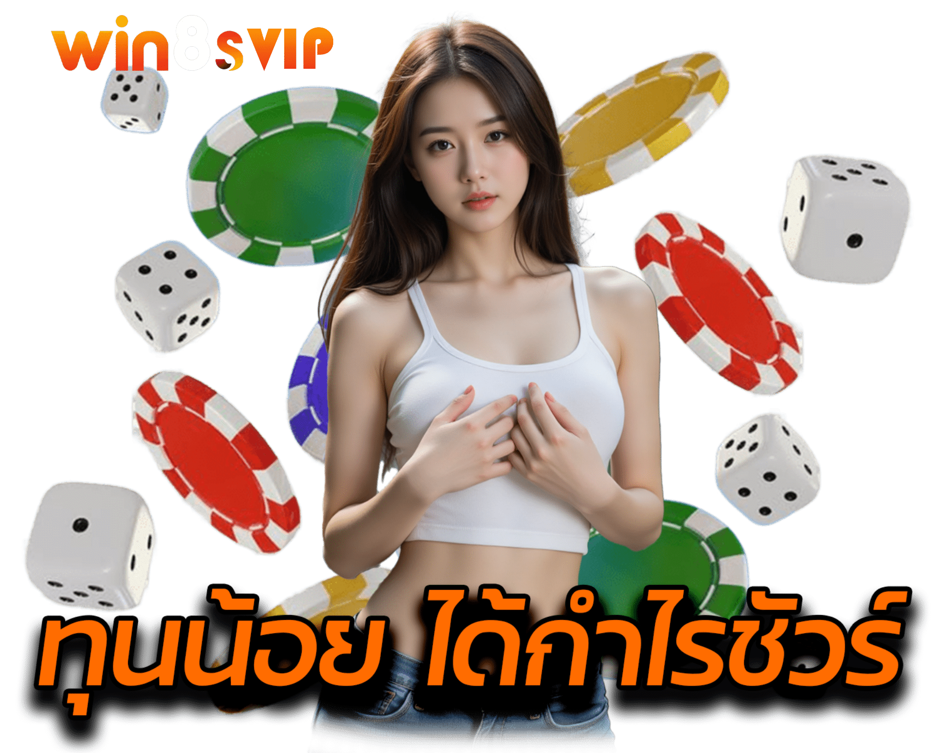 win8svip.net